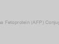 DiagNano Goat Anti-Alpha Fetoprotein (AFP) Conjugated Gold Nanoparticles